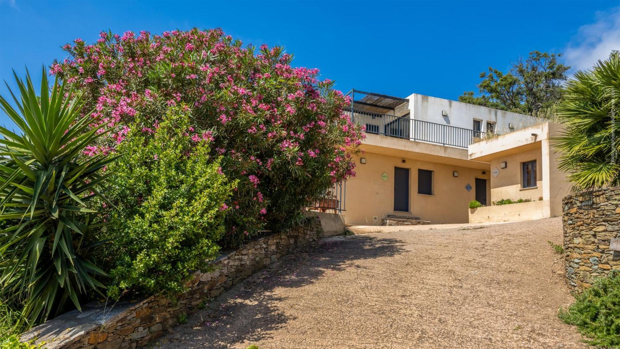 Les Terrasses D'erbalunga Erbalunga (Corsica)
