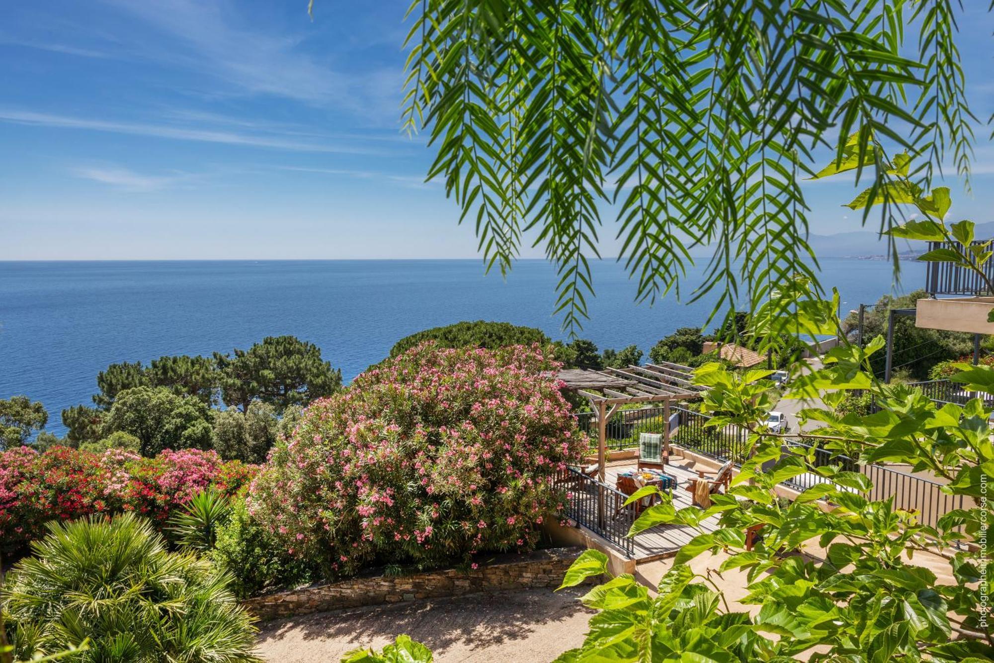 Les Terrasses D'erbalunga Apartment Erbalunga (Corsica)
