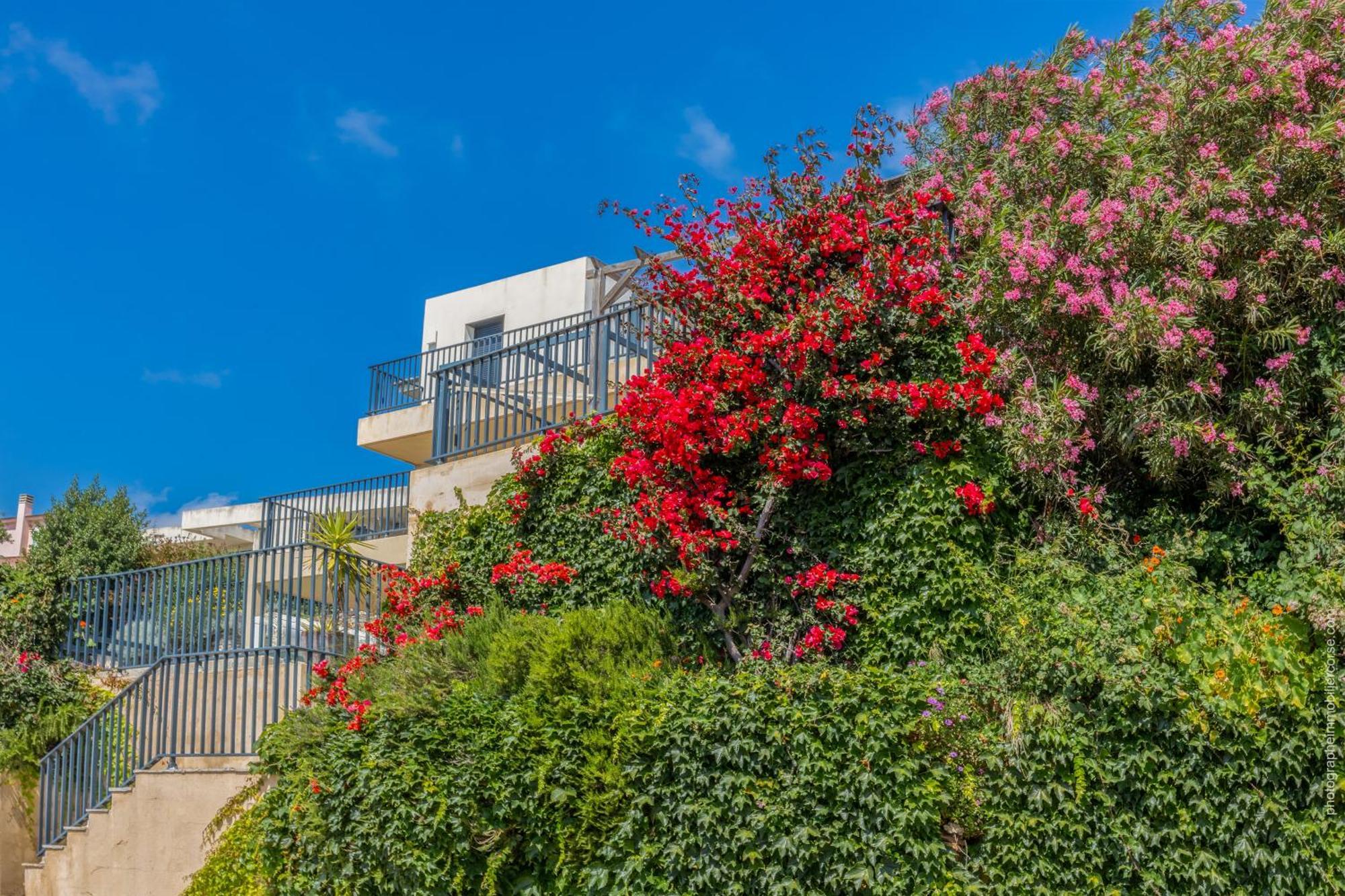 Apartment Les Terrasses D'erbalunga Erbalunga (Corsica)